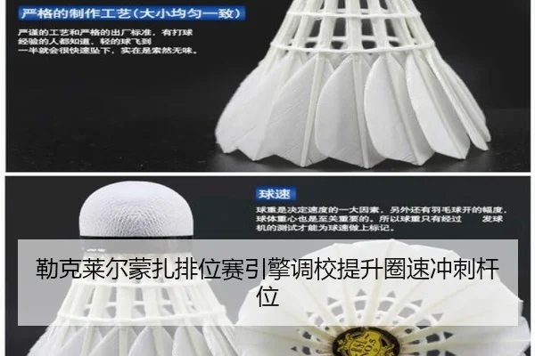 lei-ke-lai-er-meng-zha-pai-wei-sai-yin-qing-diao-xiao-ti-sheng-quan-su-chong-ci-gan-wei-3-389.jpg